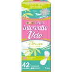 Lines Veil Kollektion – 42 hypoallergene, parfümierte Slipeinlagen