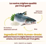 Almo Nature HFC Our Best Highly Appetizing Salmon - Complete Food for Adult Cats, 1.2 kg