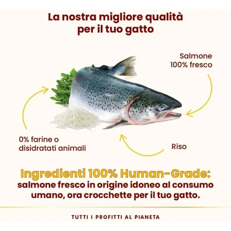 Almo Nature HFC Our Best Highly Appetizing Salmon - Complete Food for Adult Cats, 1.2 kg