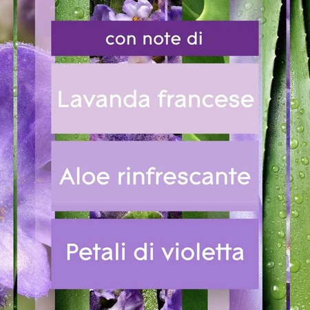Glade Tranquil Lavender & Aloe - 2 recambios para difusor de ambientador