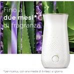 Glade Tranquil Lavender & Aloe - 2 recambios para difusor de ambientador