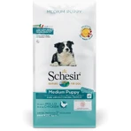 Schesir Medium Puppy con pollo - Alimento completo para cachorros de tamaño mediano, 12 kg