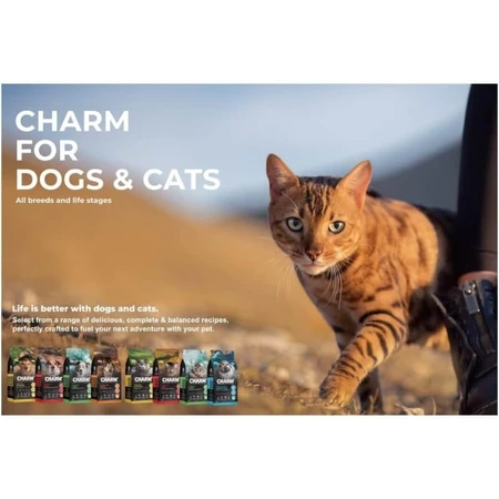 Charm North Atlantic Ocean Fish - Pienso completo para gatos para todas las etapas de la vida, 5,4 kg