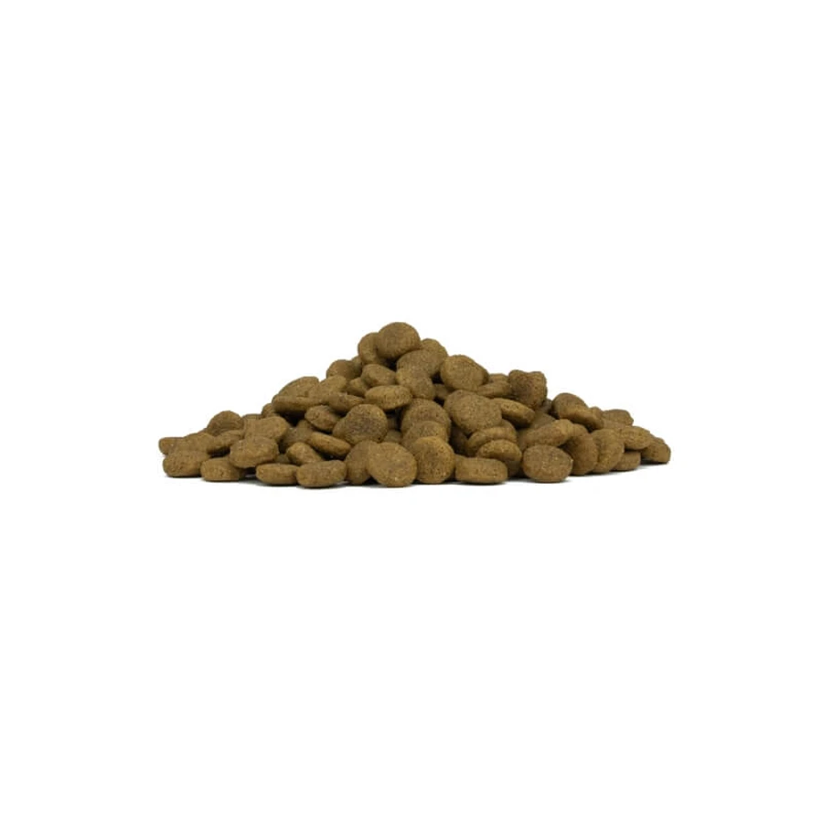 Forza10 Maintenance Medium Adult z rybą – kompletna karma dla psów, 2 kg: ceny i cechy