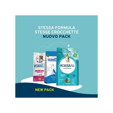 Forza10 Maintenance Medium Adult z rybą – kompletna karma dla psów, 2 kg: ceny i cechy