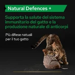 Purina Pro Plan Supplements Natural Defences cu postbiotice pentru pisici adulte, 60 g