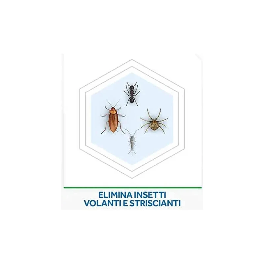 Raid Multi-Insect - Spray anti-insectes, 400 ml
