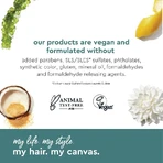 Alterna My Hair My Canvas Shine On - Mousse coiffante 145 g