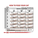 Royal canin Veterinary gastrointestinal - alimento completo per gatti con disturbi digestivi 4 kg