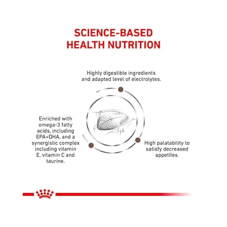 Royal canin Veterinary gastrointestinal - alimento completo per gatti con disturbi digestivi 4 kg