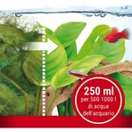 Tetra Algumin - Traitement complet contre les algues pour aquariums d'eau douce, 250 ml