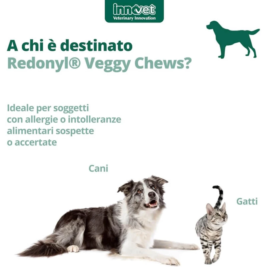 Innovet Redonyl Veggy 90 Soft Chews: un complemento alimenticio para perros y gatos que favorece la salud de la piel y el pelaje
