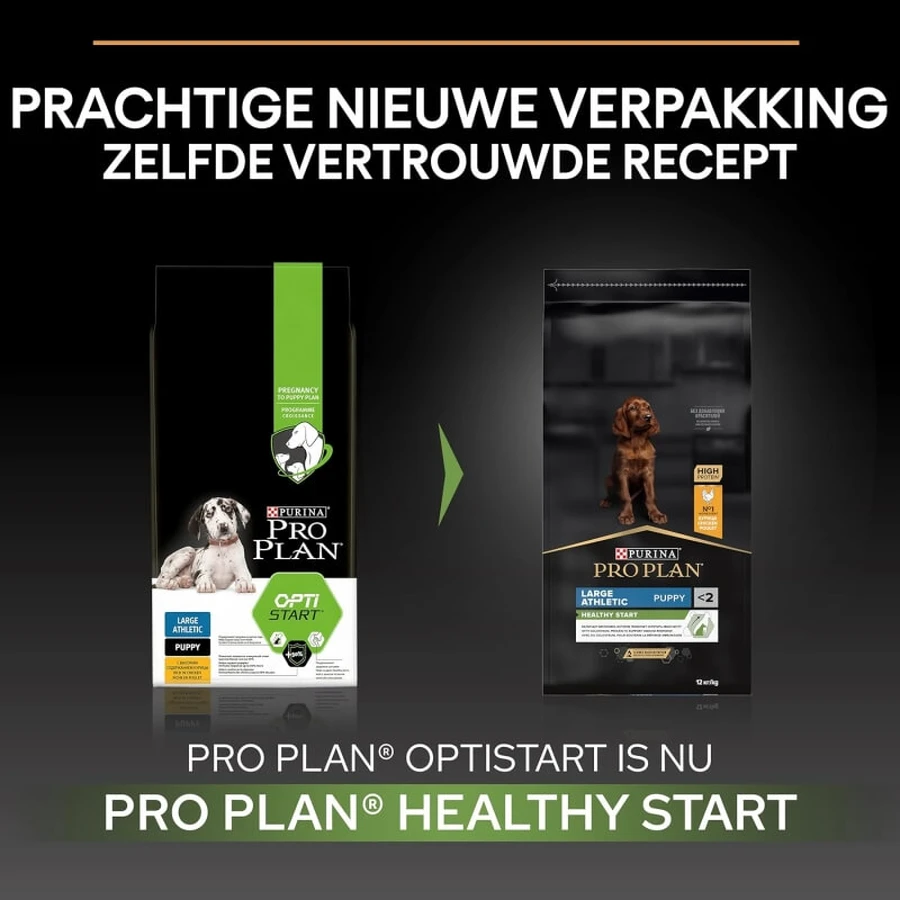 Purina Pro Plan Large Athletic Healthy Start Puppy con pollo - Pienso completo para perros, 12 kg
