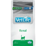Farmina Vet Life Renal - Alimento completo para gatos con insuficiencia renal, 2 kg