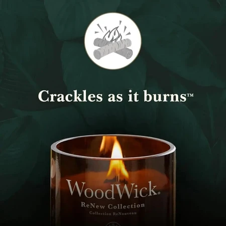Woodwick Tomate, Feuilles de tomate et Basilic - Grande bougie parfumée, 368 g