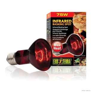 Exo Terra PT-2142 R20-75W – Infrarotlampe für Terrarien