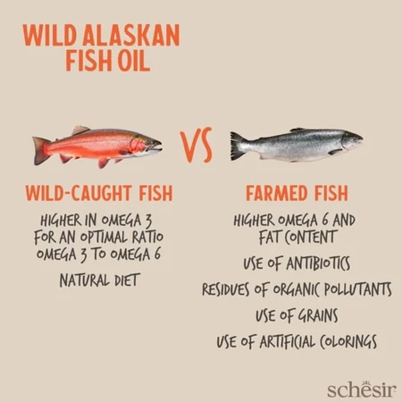 Schesir Wild Alaskan Fish Oil Omega-3 Plus - Fish Oil Supplement for Dogs and Cats, 250 ml