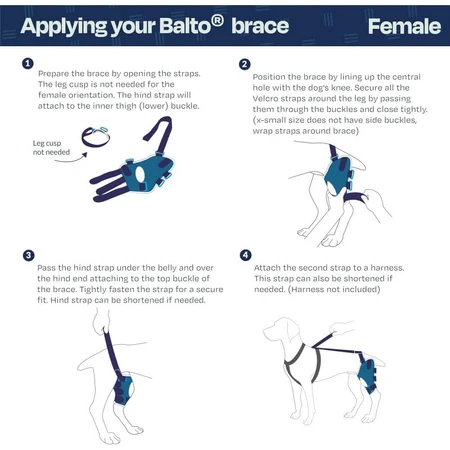 Balto Jump – Orthopädische Kniebandage für das linke Knie bei kleinen Hunden, Größe S