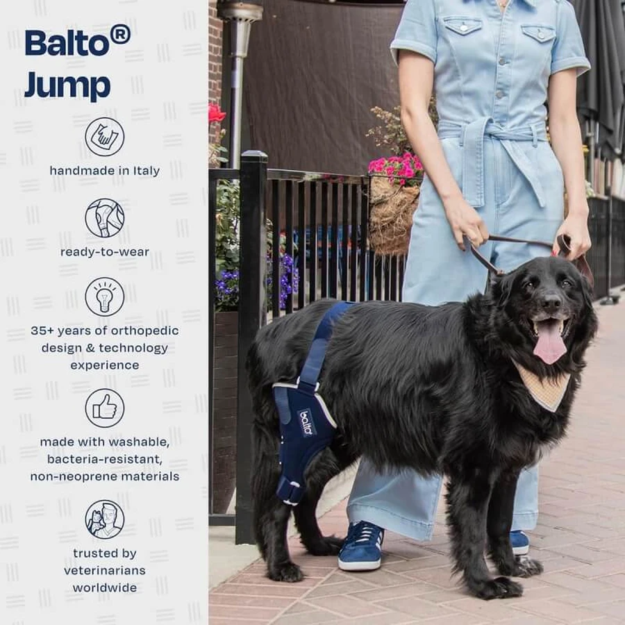 Balto Jump – Orthopädische Kniebandage für das linke Knie bei kleinen Hunden, Größe S