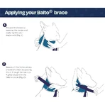 Balto Neck - Rigid Orthopedic Protective Collar for Recovery, Size XL