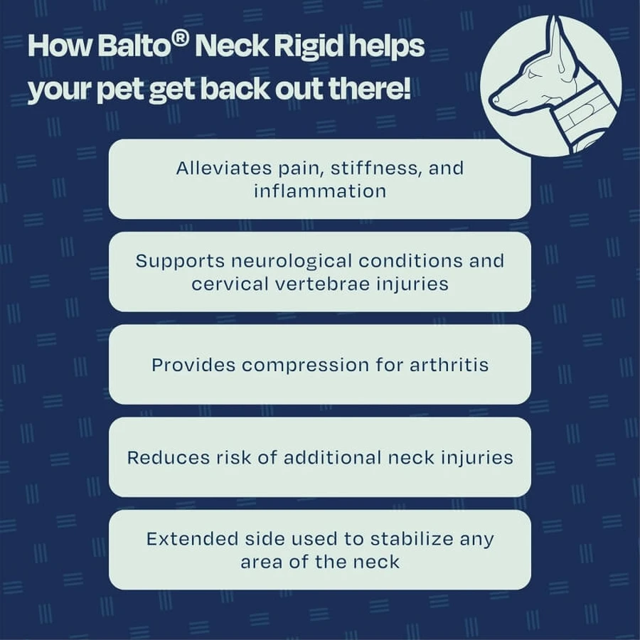 Balto Neck - Rigid Orthopedic Protective Collar for Recovery, Size XL