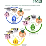 Necon Pet Food Necon Linseaoil Recipe No. 03 - Plant-Based Complementary Food for Dogs and Cats, 950 ml