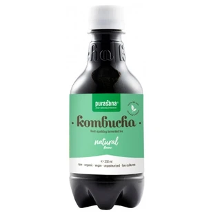 Purasana Bio-Kombucha mit natürlichem Geschmack 330 ml