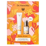 Dr. Hauschka Cremă purificatoare pentru față 50 ml + Loțiune tonifiantă 30 ml cadou