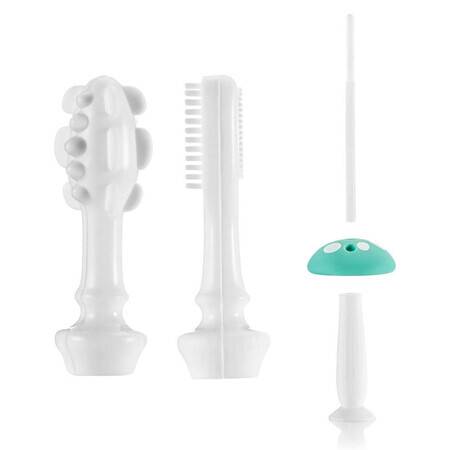 Set periute de dinti din silicon pentru antrenament BabyCare, 0 luni+, Reer