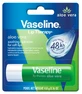 Balsamo per le labbra in stick alla vaselina e aloe vera, 4,8 g