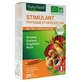 Naturland Stimulant Physique et Intellectuel Bio 20 Ampoules de 10 ml