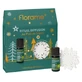 Florame Biologische etherische olie "Au Pied du Sapin" 10 ml + geurend decoratief kerstbal 7 cm
