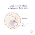 Pack 3x Bouteille Lansinoh - 240 ml.