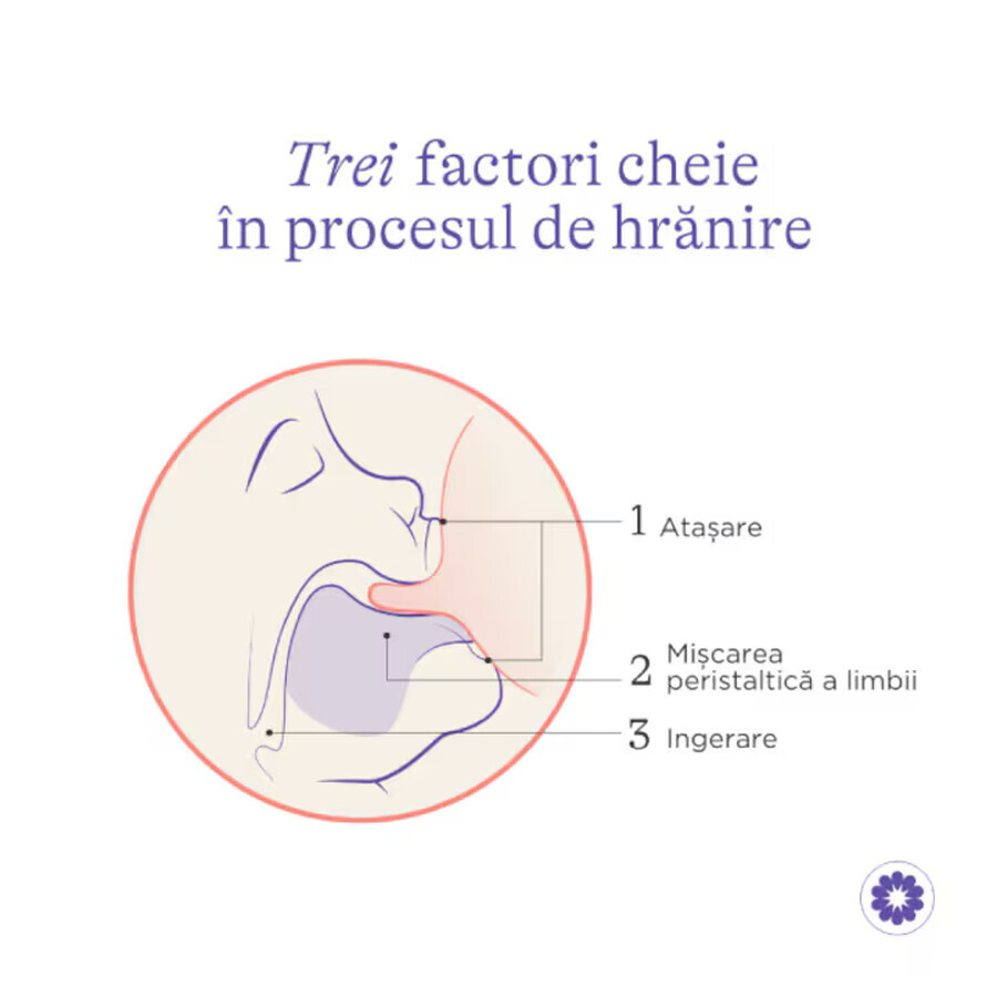 Pack 3x Bouteille Lansinoh - 240 ml.