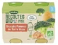 Blédina Raccolti Biologici: Broccoli e patate, biologici, per bambini dai 6 mesi in su, 2 vasetti