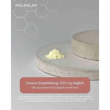 Poudre de resvératrol trans Moleqlar, 100 g de poudre