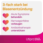 Utipro® Acute & Protect, 15 capsule rigide