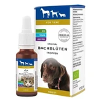 Bachbloesemremedies voor dieren: druppels tegen angst, 20 ml