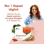 Adaptoplex 120 mg Hartkapseln, 30 St Hartkapseln