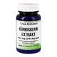 Pompoenzaadextract 450 mg GPH-capsules, 60 capsules