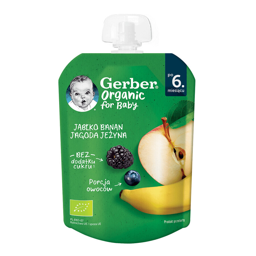 Purea di mele, banane, mirtilli e more bio, +6 mesi, 80 gr, Gerber