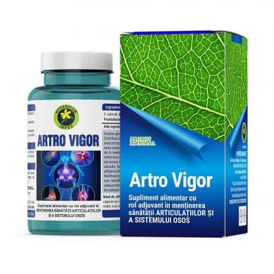 Arthro Vigor, 60 Kapseln, Hypericum