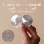 Lansinoh Silver Caps, 2 pezzi (assortiti)