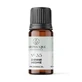 Ulei aromat, nr 35, Iasomie, 10 ml, Light Candel Art