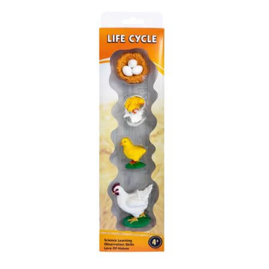 Set educativ – Ciclul de viata al gainii, 3 ani+, OEM