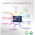 Neuromax pack, 30 + 30 cápsulas, Cosmopharm