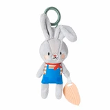 Rattle Toy, Rylee the Bunny, 0 months+, Taf Toys