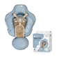 Colac gonflabil de inot pentru bebelusi Swim Pro, Bleu, 6-36 luni, Sipo