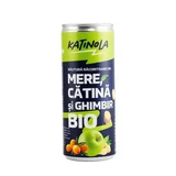 Bevanda rinfrescante biologica a base di mele, olivello spinoso e zenzero, 250 ml, Katinola