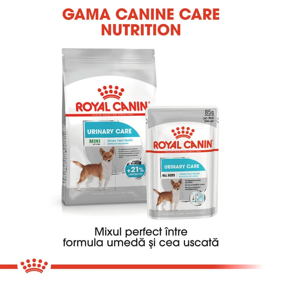 ROYAL CANIN Mini Urinary Care, dry dog food, urinary tract health, 1 kg